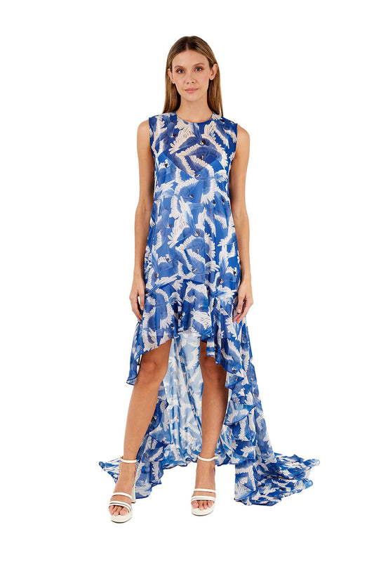 Print Blue Aviva Long dress for woman